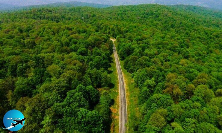 Caspian Hyrcanian Mixed Forests