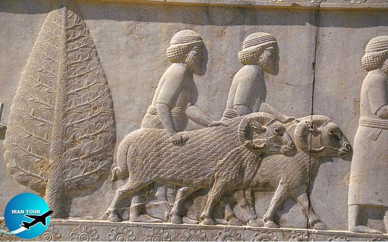 Gifts from various countries to the Achaemenid monarch on the wall of the palace
