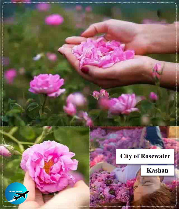  Qamsar, The City of fragrant flowers