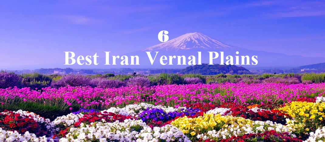  The 6 Best Iran Green Vernal Plains